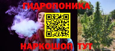 сатива Анапа