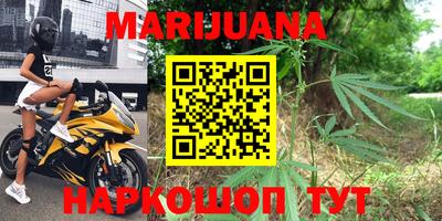 сатива Анапа