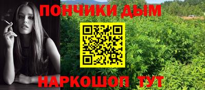 крисы Анжеро-Судженск