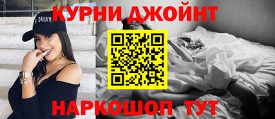 сатива Анапа