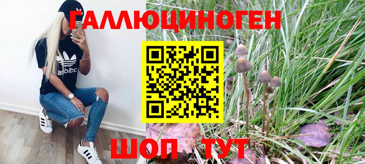 Псилоцибиновые грибы Magic Shrooms Кисловодск