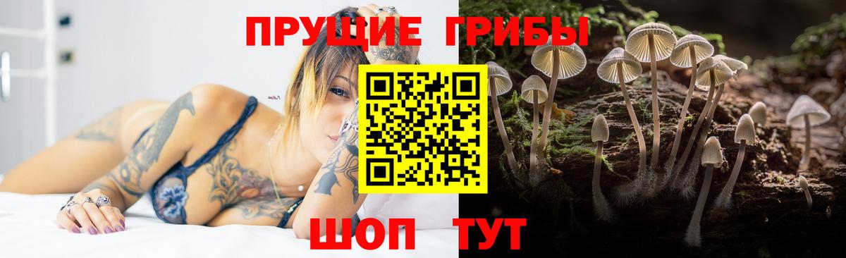 Галлюциногенные грибы Magic Shrooms  Вход с VPN  Кисловодск  Псилоцибиновые грибы Magic Shrooms 